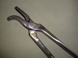 Nordic Viking Curved Jaw Clincher