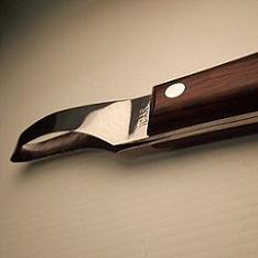 ICAR Loop Knife